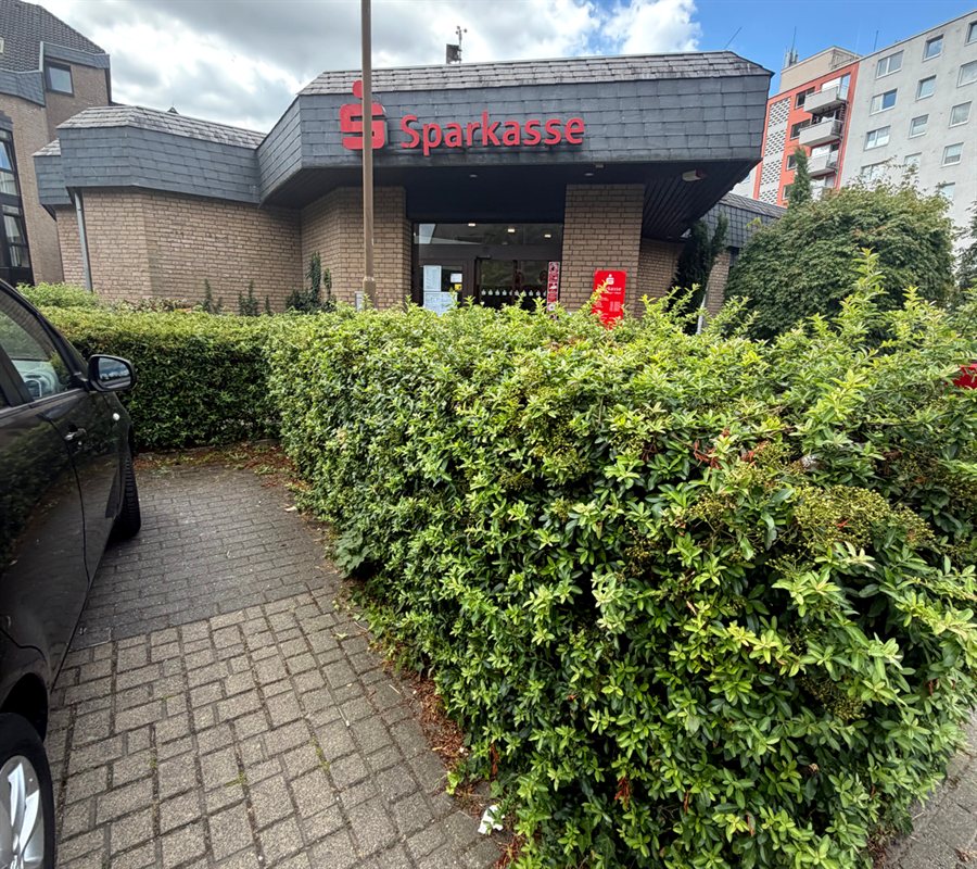 Hecke und Gehweg vorher – ungepflegt