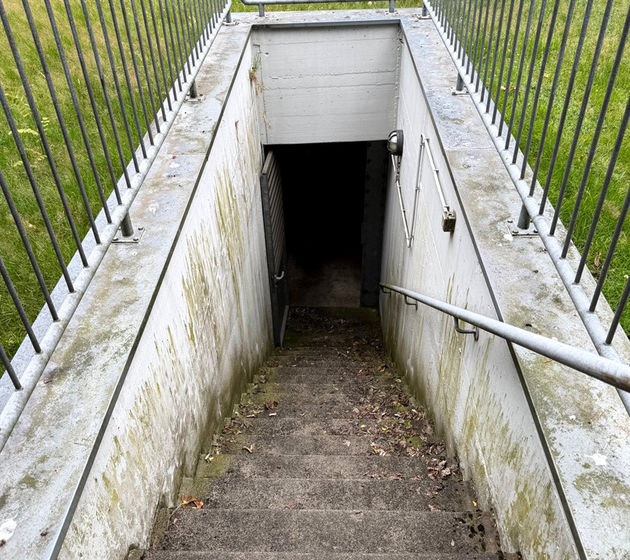 Treppenabgang vorher – Laub und Moos