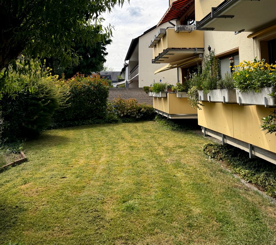 Rasenfläche nachher – gemäht