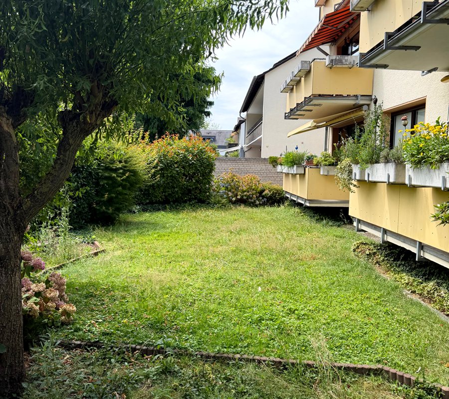 Rasenfläche vorher – ungepflegt